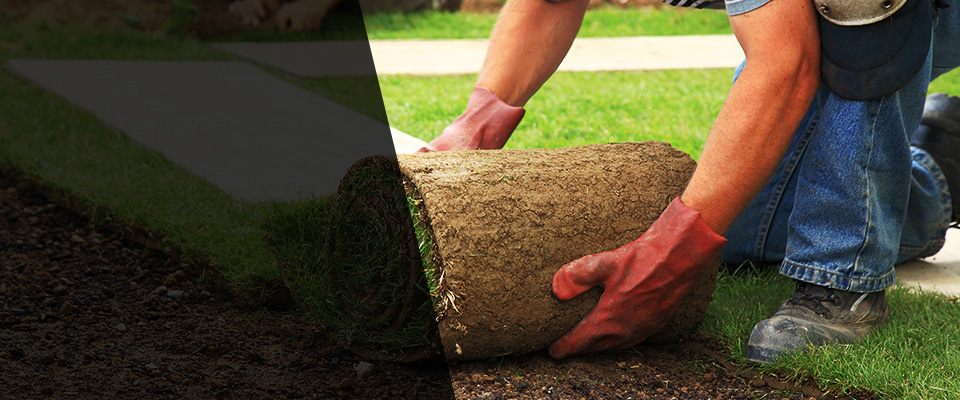Almena Landscapers